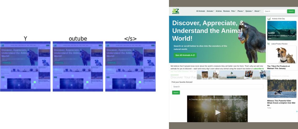 Attention maps for each generated token next to the A-Z Animals webpage screenshot the model was asked about.
